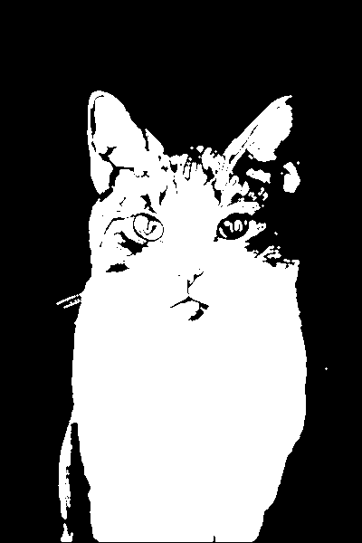 Full image; edge 0.5, threshold 130.